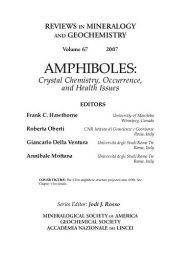 book Amphiboles: Crystal Chemistry, Occurrence, and Health Issues