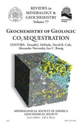 book Geochemistry of Geologic CO2 Sequestration