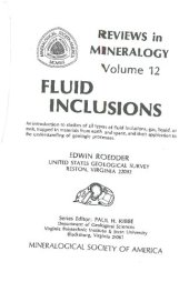 book Fluid Inclusions