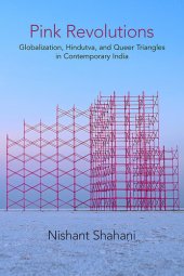 book Pink Revolutions: Globalization, Hindutva, and Queer Triangles in Contemporary India