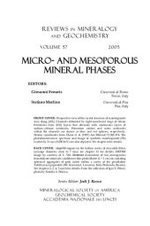 book Micro- and Mesoporous Mineral Phases