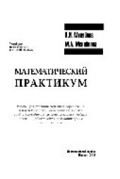 book Математический практикум. Учебное пособие для высшей школы
