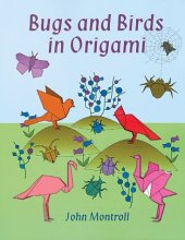 book Bugs and Birds in Origami