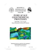 book Pore-Scale Geochemical Processes