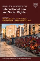 book Research Handbook on International Law and Social Rights