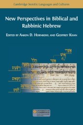 book New Perspectives in Biblical and Rabbinic Hebrew