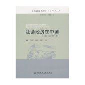 book 社会经济在中国: 超越资本主义的理论与实践