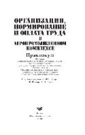 book Организация, нормирование и оплата труда в агропромышленном комплексе. Практикум. Учебное пособие