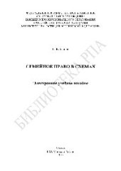 book Семейное право в схемах. Электронное учебное пособие