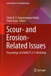 book Scour- and Erosion-Related Issues: Proceedings of ISSMGE TC 213 Workshop