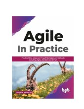 book AGILE in Practice: Practical Use-cases on Project Management Methods including Agile, Kanban and Scrum (English Edition)