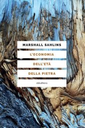 book L'economia dell'età della pietra