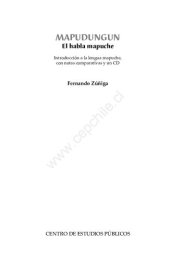 book Mapudungun: el habla mapuche