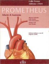 book PROMETHEUS: Atlante di Anatomia. Collo, Torace, Addome e Pelvi