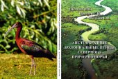 book Аистообразные колониальные птицы Северного Причерноморья. Том 5А