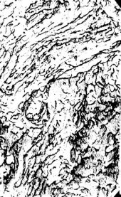 book Пятизначные таблицы логарифмов с приложением других таблиц, упрощающих вычисления