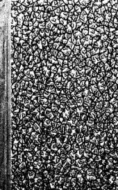 book Графические методы интегрирования обыкновенных дифференциальных уравнений