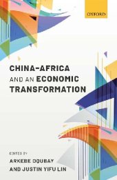 book China–Africa and an Economic Transformation