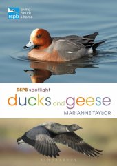 book RSPB Spotlight Ducks and Geese