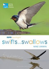 book Swifts and swallows