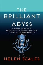 book The Brilliant Abyss