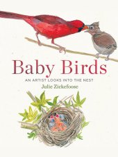 book Baby Birds: An Artist Looks into the Nest