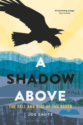 book A Shadow Above: The Fall and Rise of the Raven