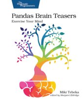 book Pandas Brain Teasers: Exercise Your Mind