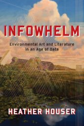 book Infowhelm: Environmental Art and Literature in an Age of Data (Literature Now)