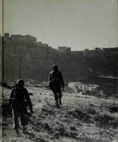 book The Italian Campaign (World War ll)