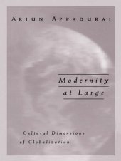 book Modernity At Large: Cultural Dimensions of Globalization (Public Worlds)