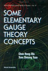 book Some Elementary Gauge Theory Concepts