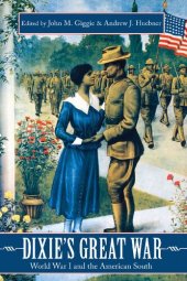 book Dixie's Great War: World War I and the American South