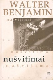 book Nušvitimai : esė rinktinė