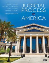 book Judicial Process in America