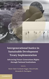 book Intergenerational Justice in Sustainable Development Treaty Implementation: Advancing Future Generations Rights through National Institutions