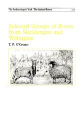 book Selected Groups of Bones from Skeldergate and Walmgate