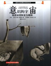 book 意识的宇宙 : 物质如何转变为精神