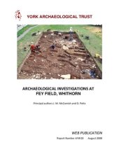 book Archaeological Investigations at Fey Field, Whithorn