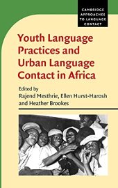 book Youth Language Practices and Urban Language Contact in Africa