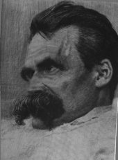 book Nietzsche and "an architecture of our minds"