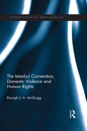 book The Istanbul Convention, Domestic Violence and Human Rights