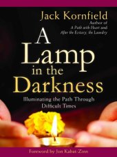 book A Lamp in the Darkness: Illuminating the Path Through Difficult Times