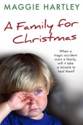 book A Family for Christmas