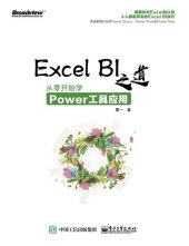 book Excel BI之道