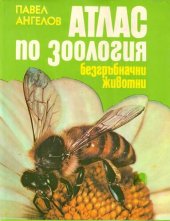 book Атлас по зоология. Безгръбначни животни