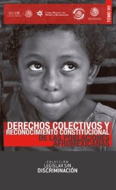 book Derechos colectivos y reconocimiento constitucional de las poblaciones afromexicanas