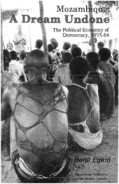 book Mozambique: A Dream Undone, The Political Economy of Democracy, 1975-84