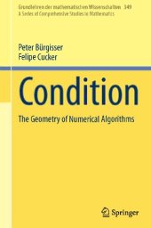 book Condition : the Geometry of Numerical Algorithms