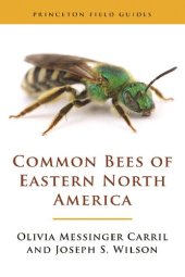 book Common Bees of Eastern North America